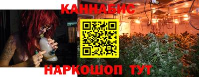 сатива Камышлов