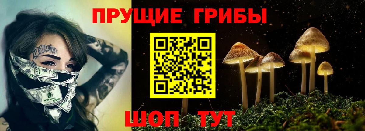 Псилоцибиновые грибы ЛСД  Вход с VPN  Псилоцибиновые грибы MAGIC MUSHROOMS  Бутурлиновка 