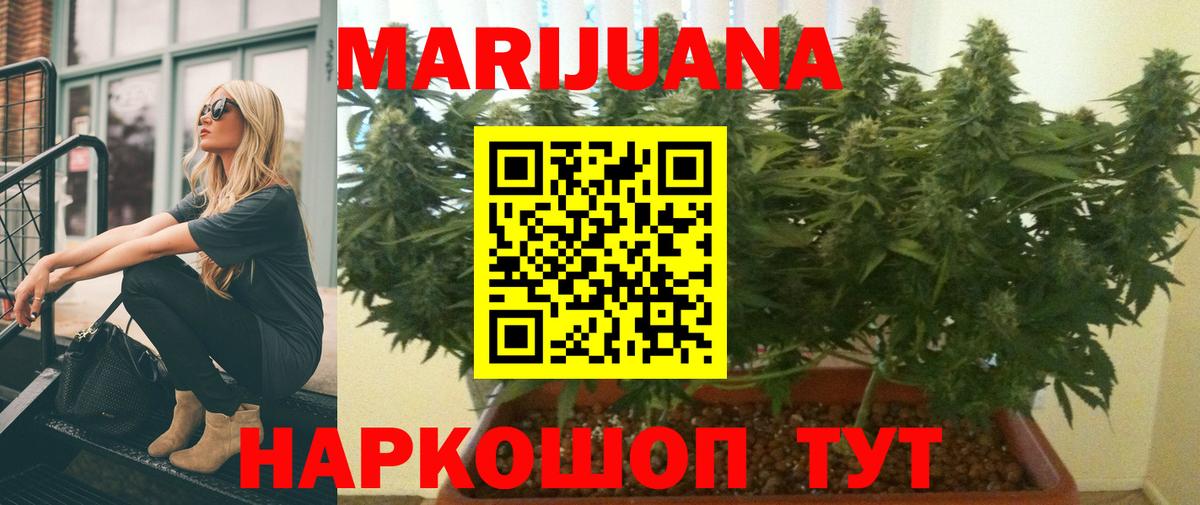 Бошки Шишки семена Бутурлиновка